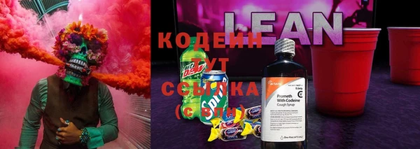 прущие грибы Нефтегорск