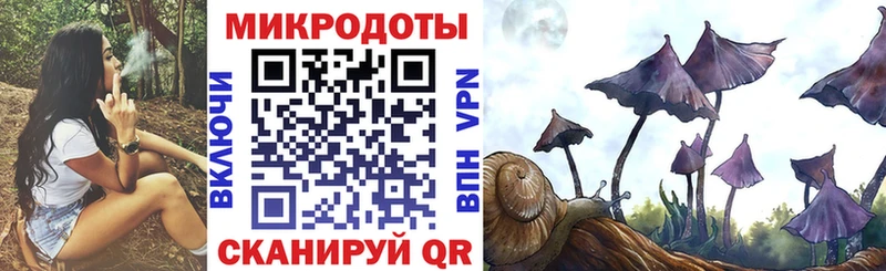 Галлюциногенные грибы прущие грибы  Осташков 